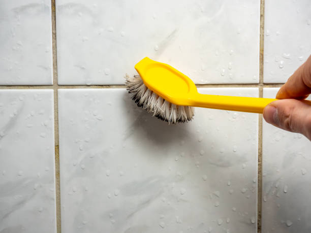 Best Local Mold Removal Service  in East Dubuque, IL