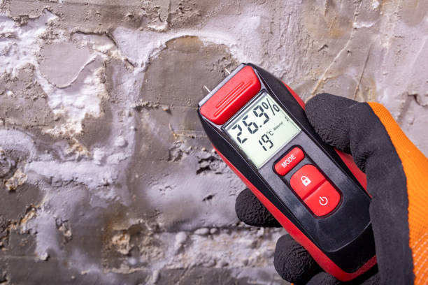 Best Emergency Mold Removal  in East Dubuque, IL